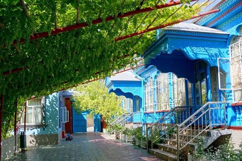 优暑假新疆伊犁自然音乐游学7天哈萨克人的草原马背游吟在喀拉峻捡拾