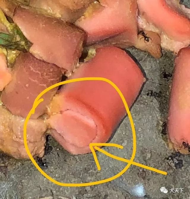 黑心毒药肠惊现京城投毒者你知道你已经触犯刑法了吗