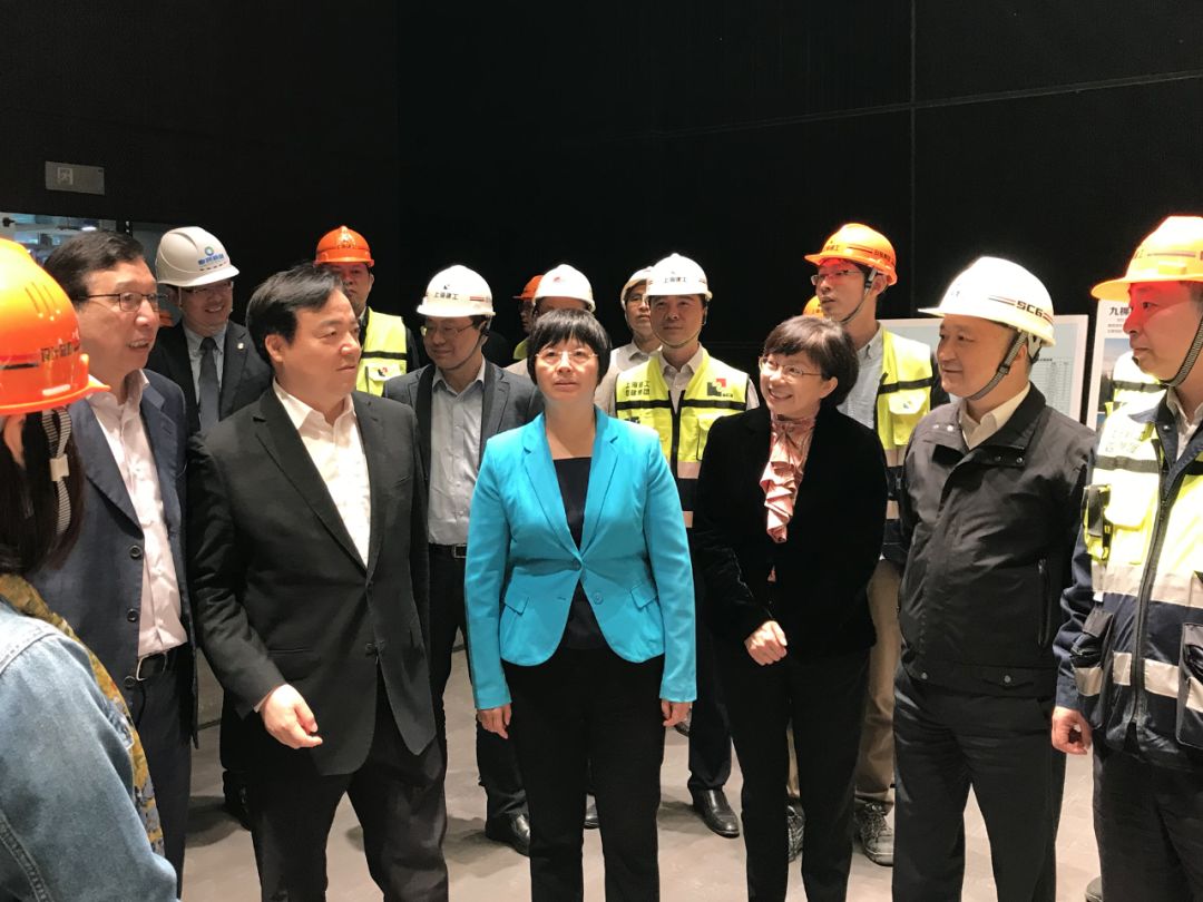上海市副市长宗明一行视察九棵树项目现场