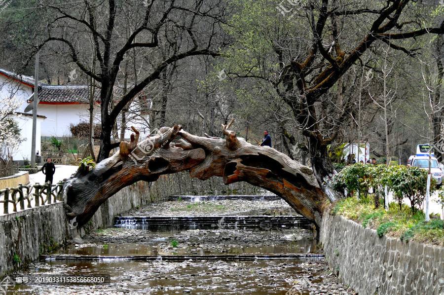 原创歌词独木桥