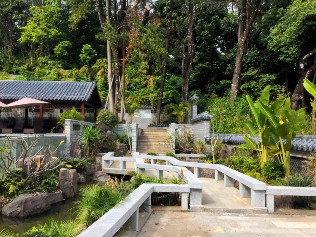 一价全包私房菜农场采摘五星服务罗浮山深处藏了一个院子