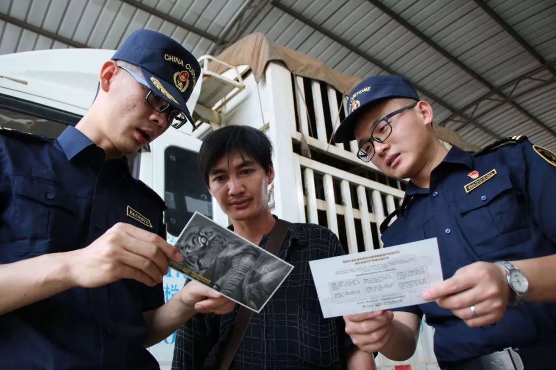 孟连海关关员对进出境人员宣传保护濒危动植物11结 语不要做偷猎者