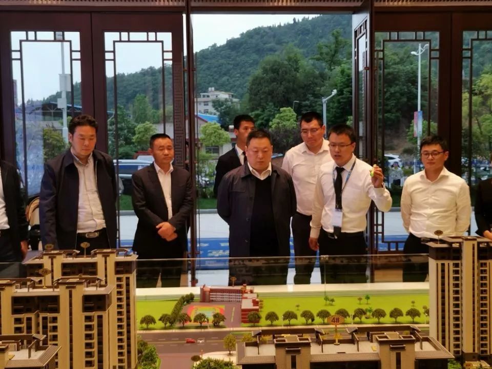 县长崔华锋调研碧桂园麓城首府项目建设情况_商南