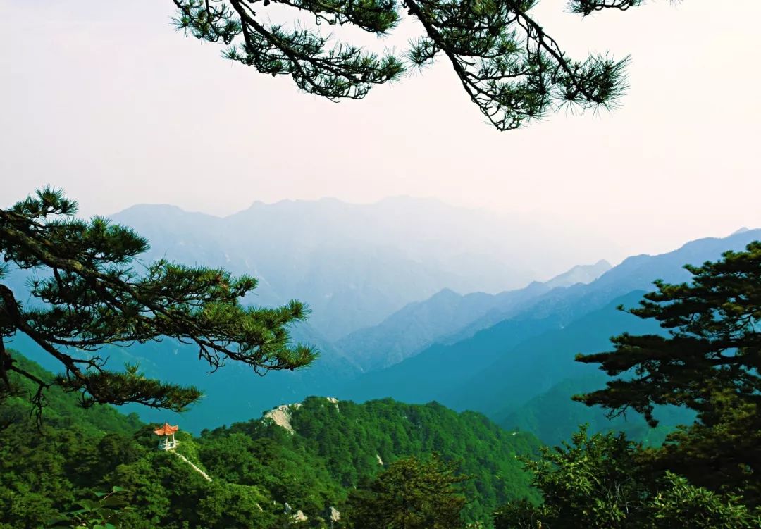 森林氧吧安徽万佛山国家森林公园光荣上榜