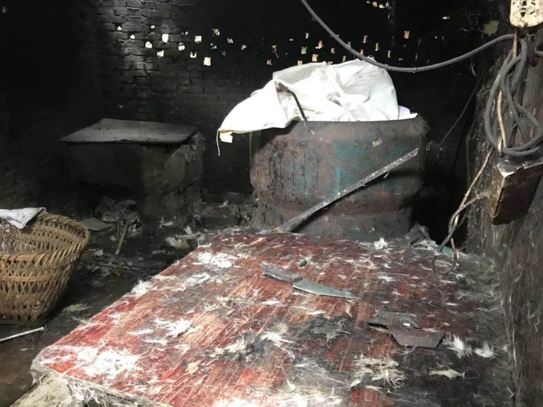 南充一杀狗黑作坊!满地皮毛,尸体,内脏,触目惊心!