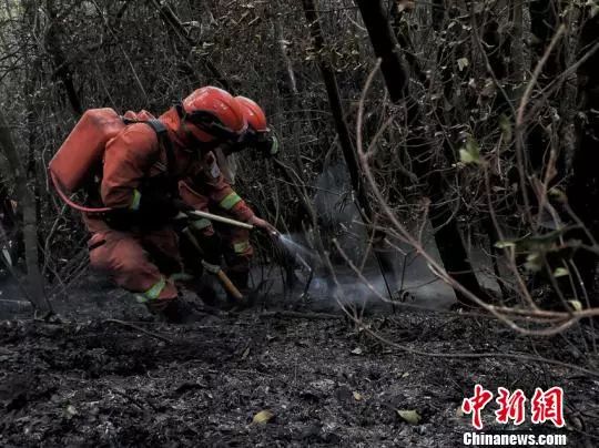 综述丨云南省文山州人大常委会原主任付加兴被查云南永善发生47级地震