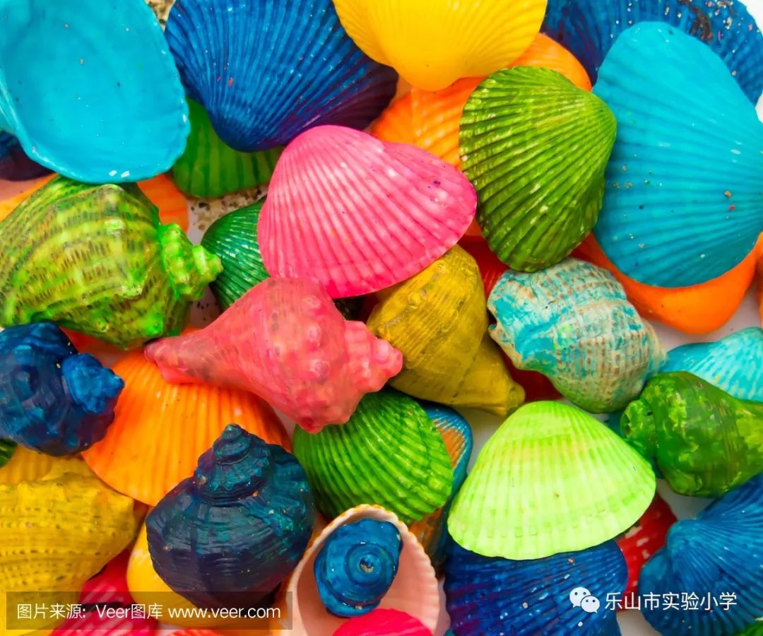 值周聚焦彩贝中队