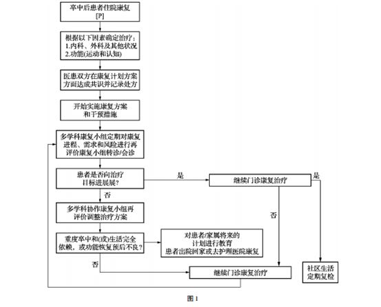 高齡腦卒中患者的康復治療流程與評定