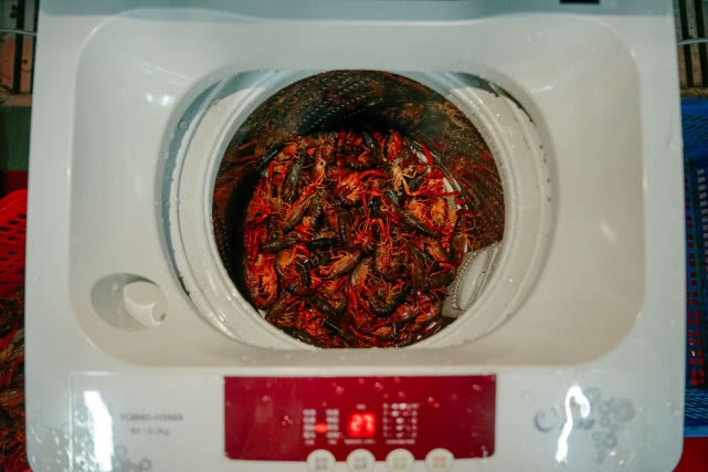 小伙发明洗衣机洗小龙虾,甩干完虾竟然都活着,生气了还夹你的手