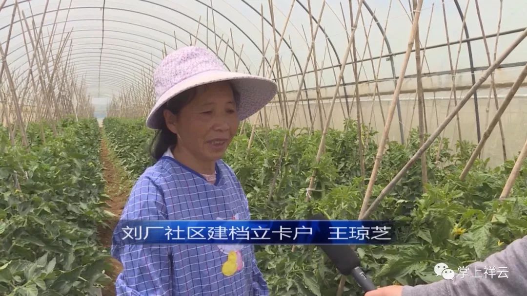 王琼芝"我们在这里打工,一年两个人合起来可以收入3万多元钱,比较好