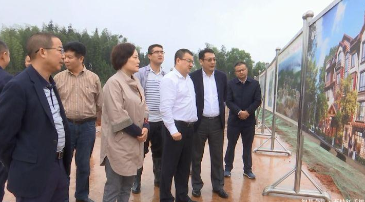 合江县委副书记,县长胥兴贵率队调研合江县重点项目建设工作
