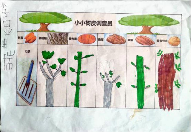 贵州麻江:麻江县谷硐中心幼儿园大(一)班开展我是小小树皮调查员