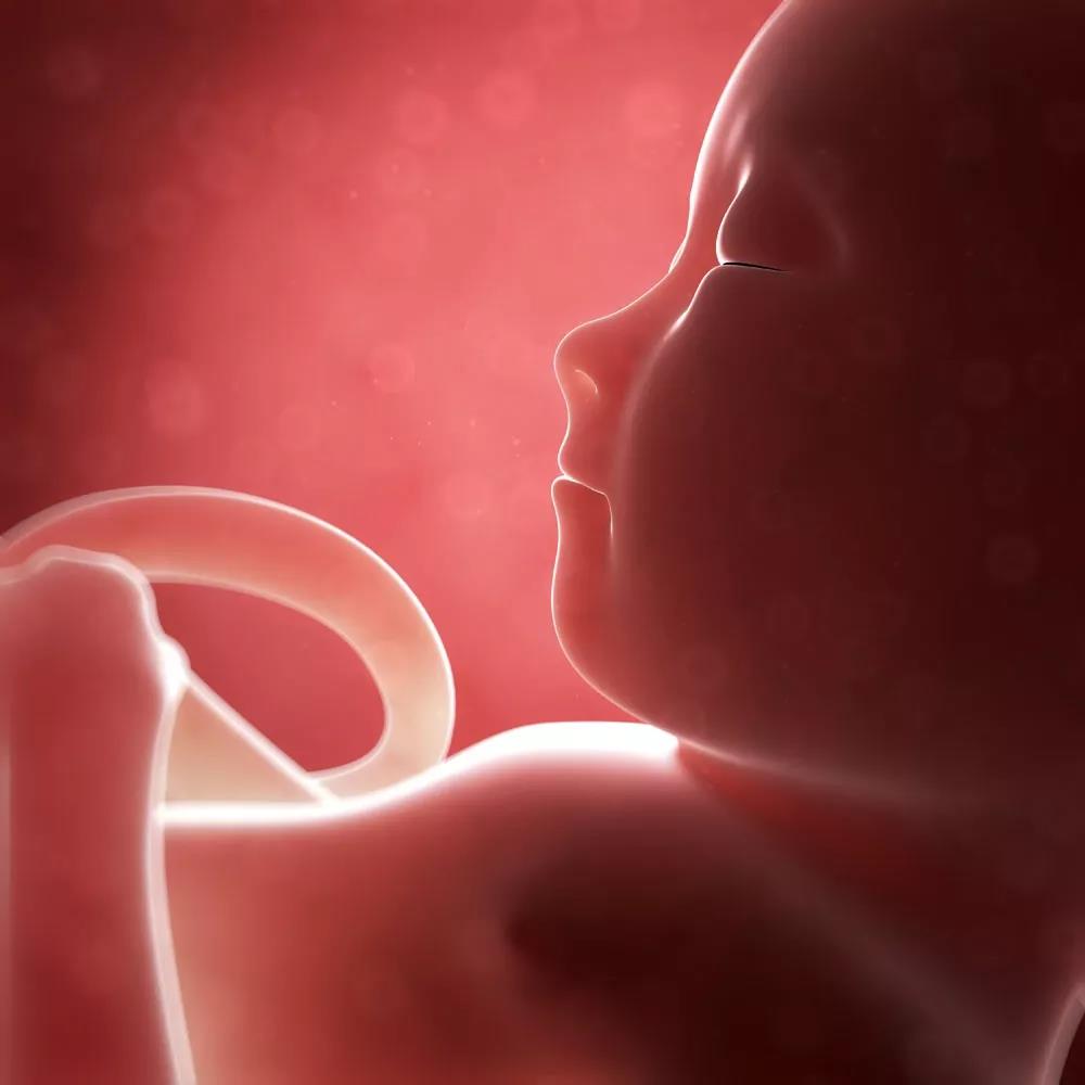 百呵育儿|新生儿脐带护理不当，轻则感染出血重则危及生命