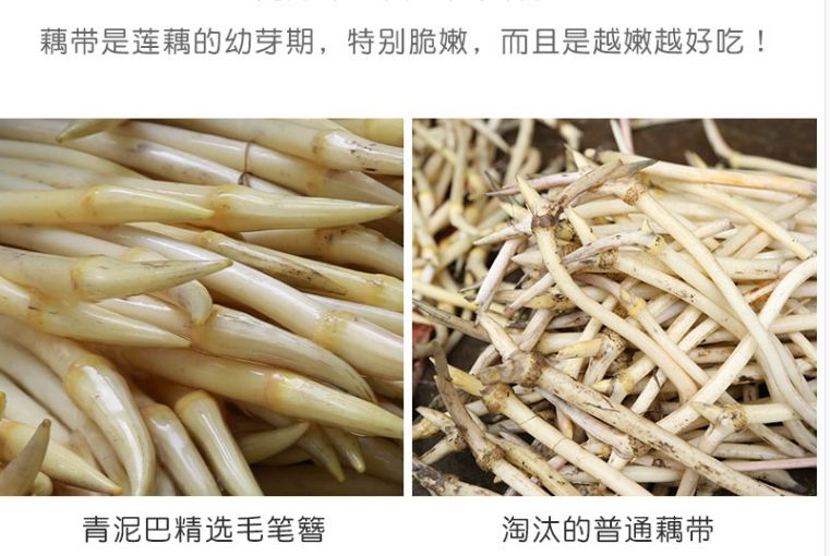 产地食材洪湖品尝藕带才是开启入夏的正确模式