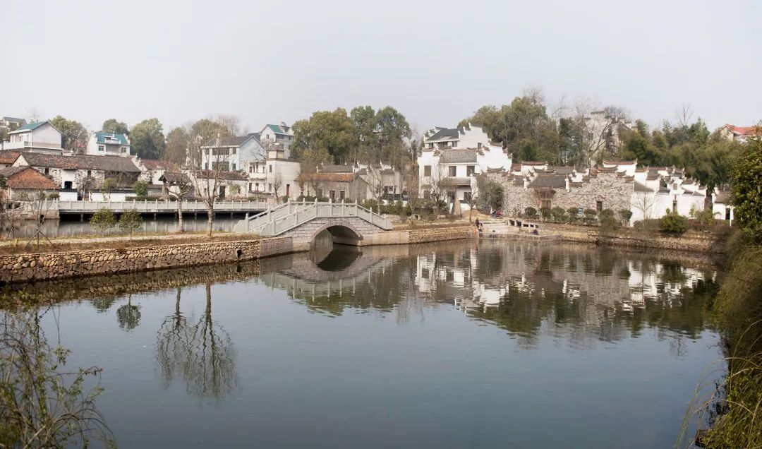 住在贺村爱上这里