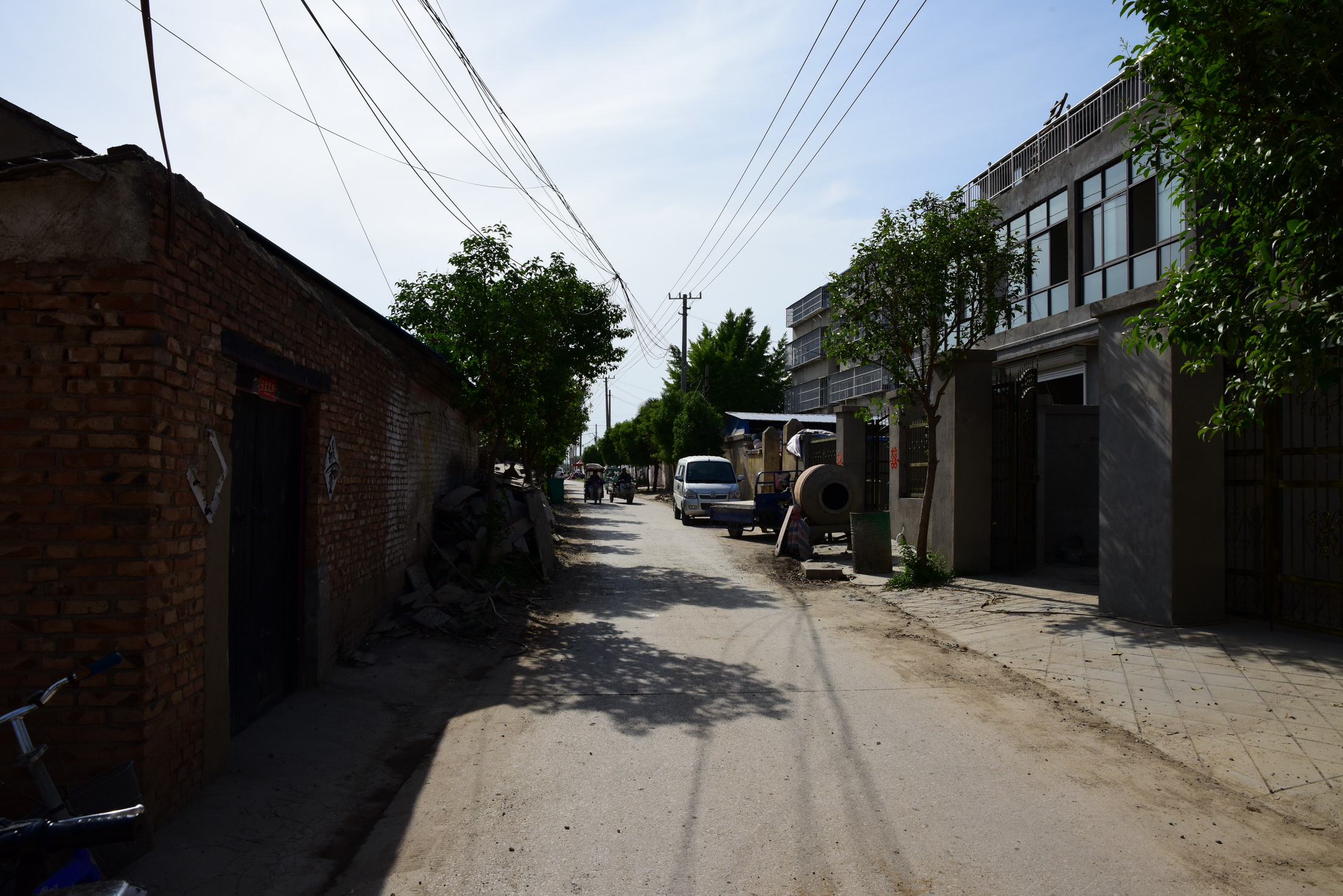 行走在徐州市郑集镇,寻找当年杜家祠堂,祠堂内老槐树树龄测算