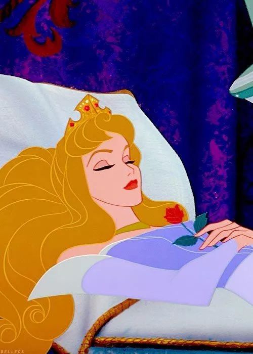 睡美人/sleeping beauty