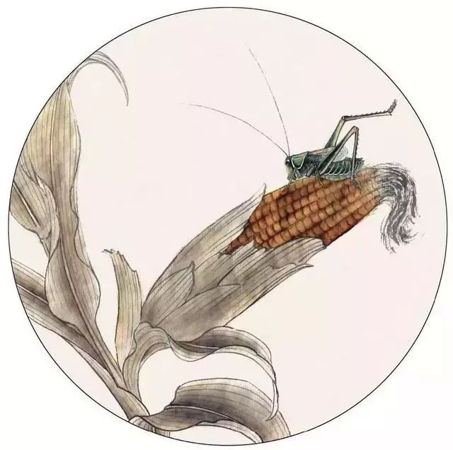 零基础工笔画蝈蝈的工笔技法