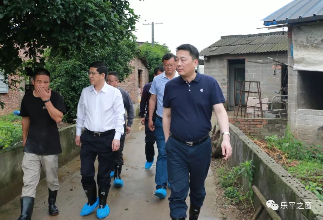 高翔督导全市环保突出问题整改工作