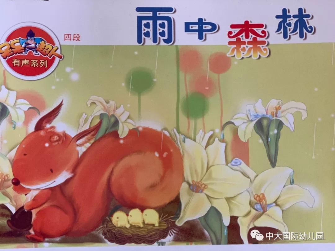 中大fm| "雨中森林"