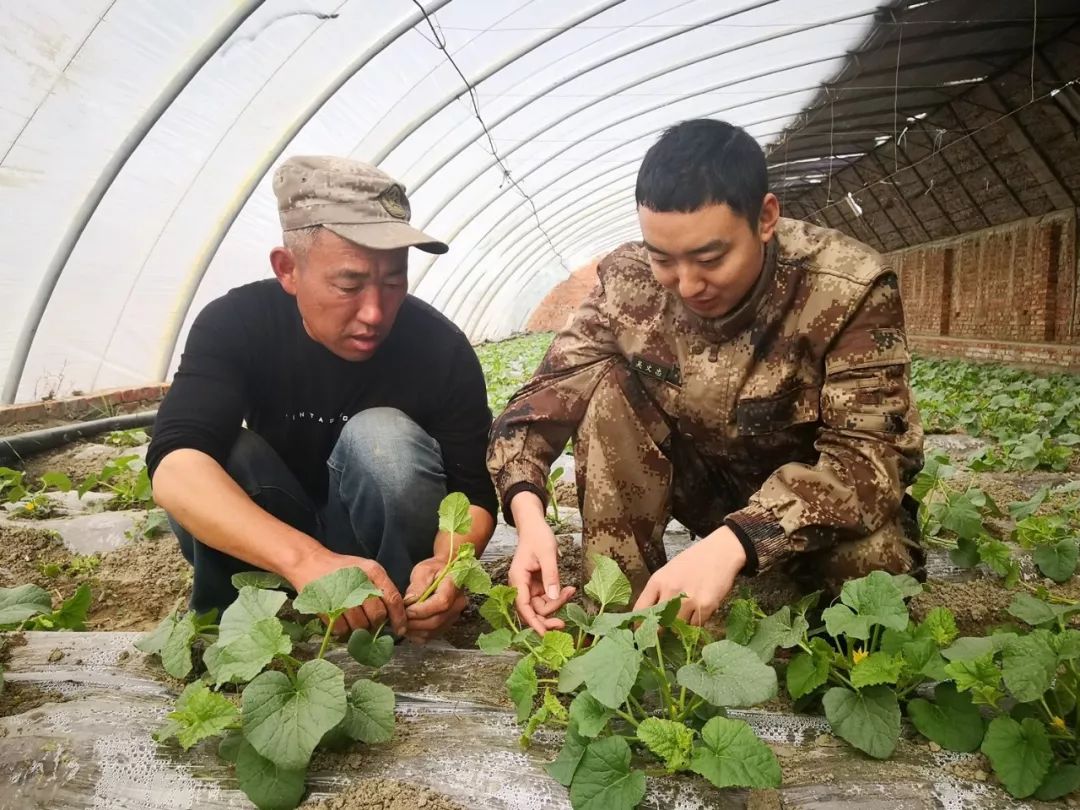 一八七团二连"两委"成员赵顺(左一)帮助职工贾成功把滴灌带扛到播种车