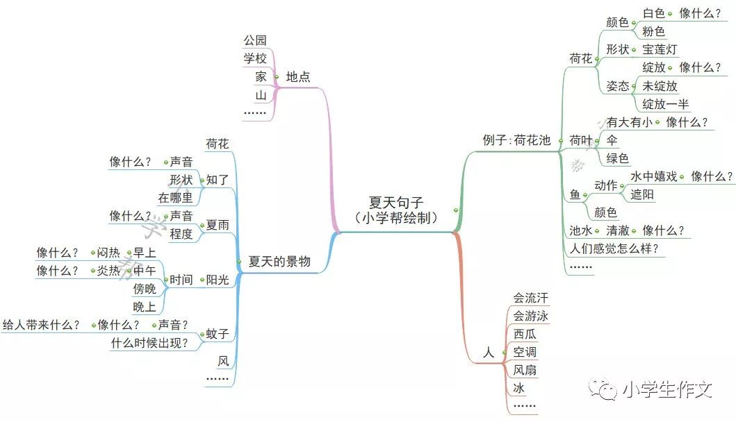 思維導圖寫好夏天的排比句,擬人句,比喻句(超美,快收藏!)_荷花