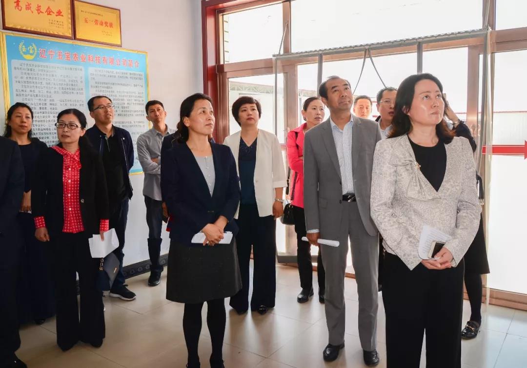 锦州市委统战部,工商联领导到北镇市调研民营经济发展情况