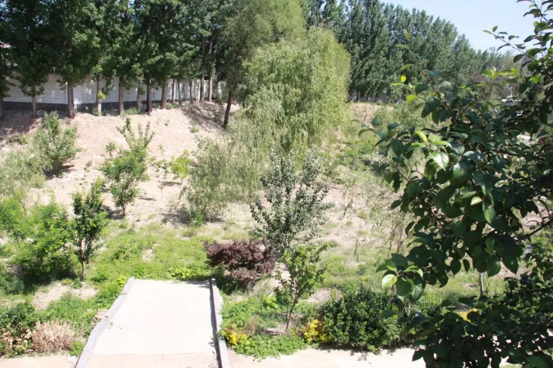 纳污坑塘整治行动在路上_饶阳县