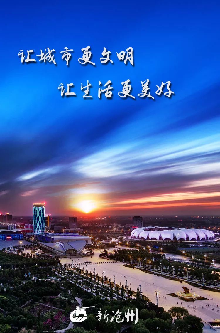 《问政面对面》对话沧州市城市管理综合行政执法局 | 流动商贩占道
