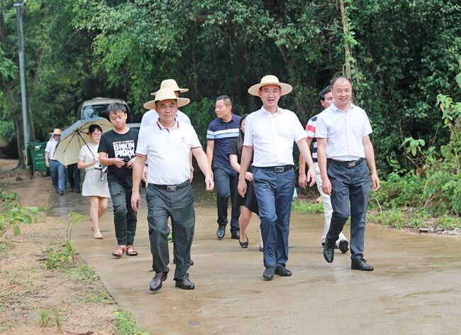 儋州市长朱洪武深入中和镇调研脱贫攻坚和乡村振兴等工作