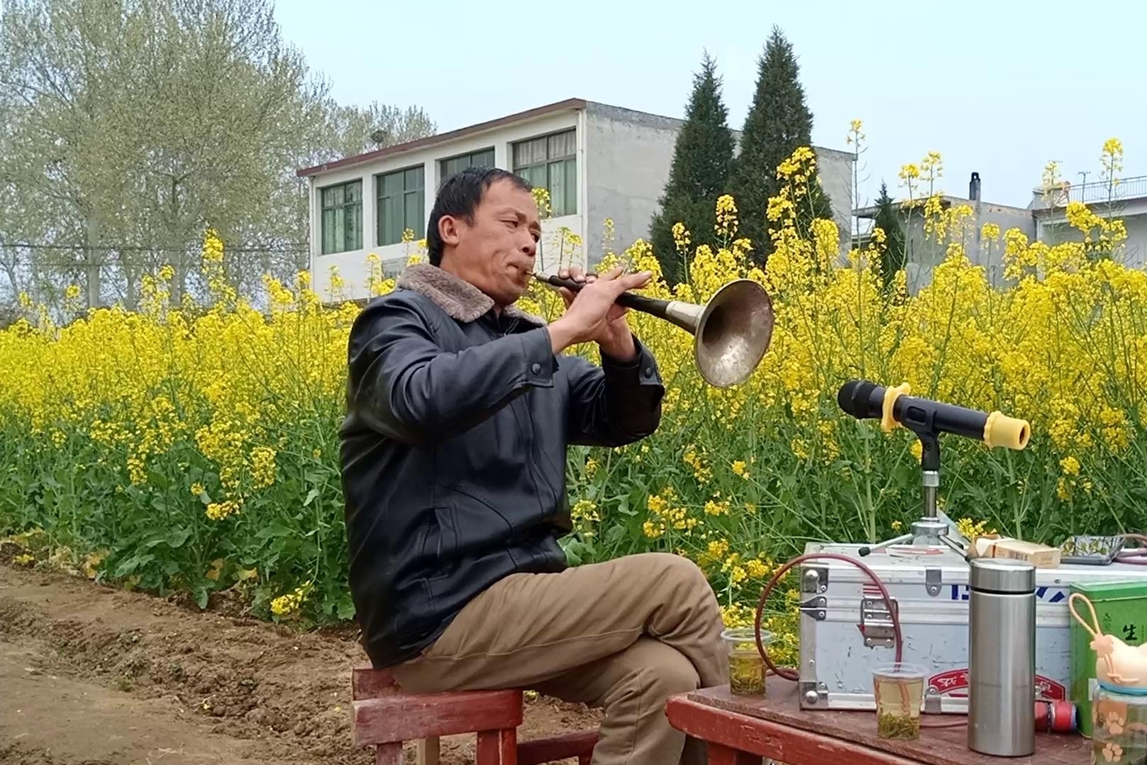 河南唢呐吹奏豫剧打金枝选段高手吹奏韵味听着很不一般