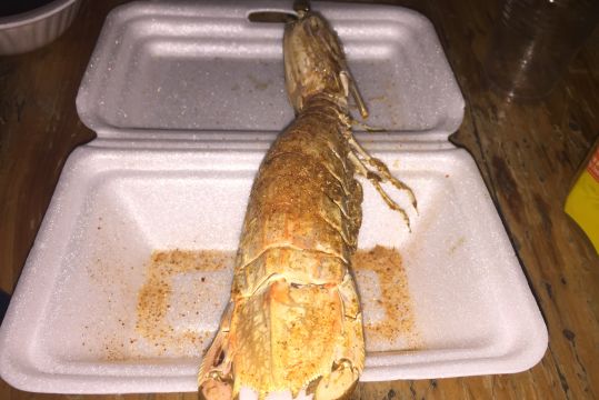 又大又肥的巨型濑尿虾