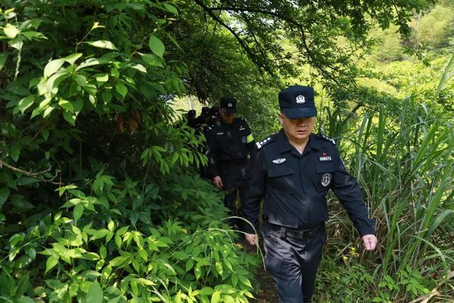 授旗结束后,江栋局长和局党委副书记,副局长石长禄一并加入拉练队伍