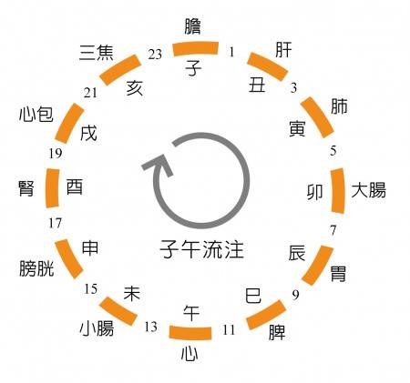 此歌诀讲的是,一天12个时辰,对应人的12个脏腑.