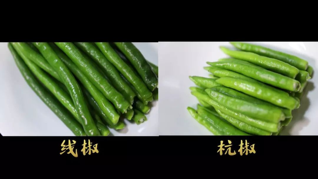 当线椒遇到杭椒居然成了新杭州人最魂牵梦萦的滋味连大厨同行都忍不住