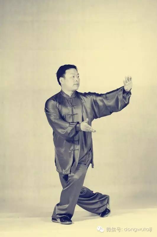 张东武老架一路云手52