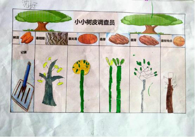 贵州麻江:麻江县谷硐中心幼儿园大(一)班开展我是小小树皮调查员