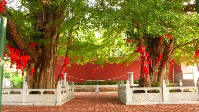 安丘八大景你知道几个?看看你都去过哪个景点!