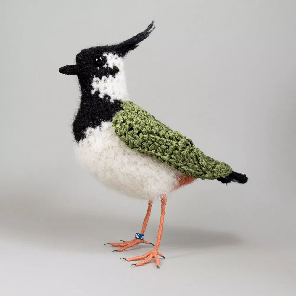 观鸟文化何塞希罗伊joseheroys的毛线编织鸟