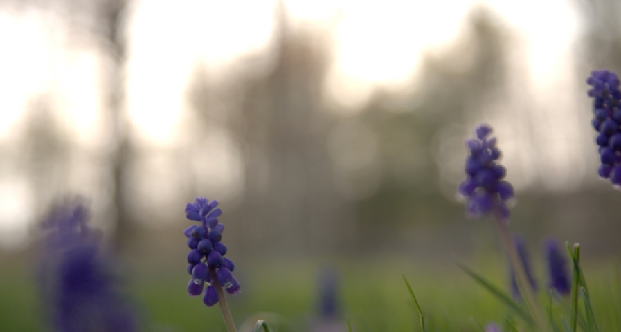 家电市场增长的大门一直打开着:这两年下跌低迷只是借机修复-家电圈官网