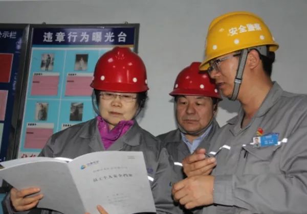 考察调研 | 昌吉自治州人大党组书记石彦玲一行到中泰矿冶调研