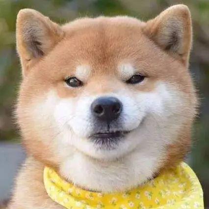 (心酸地露出单身狗的微笑)