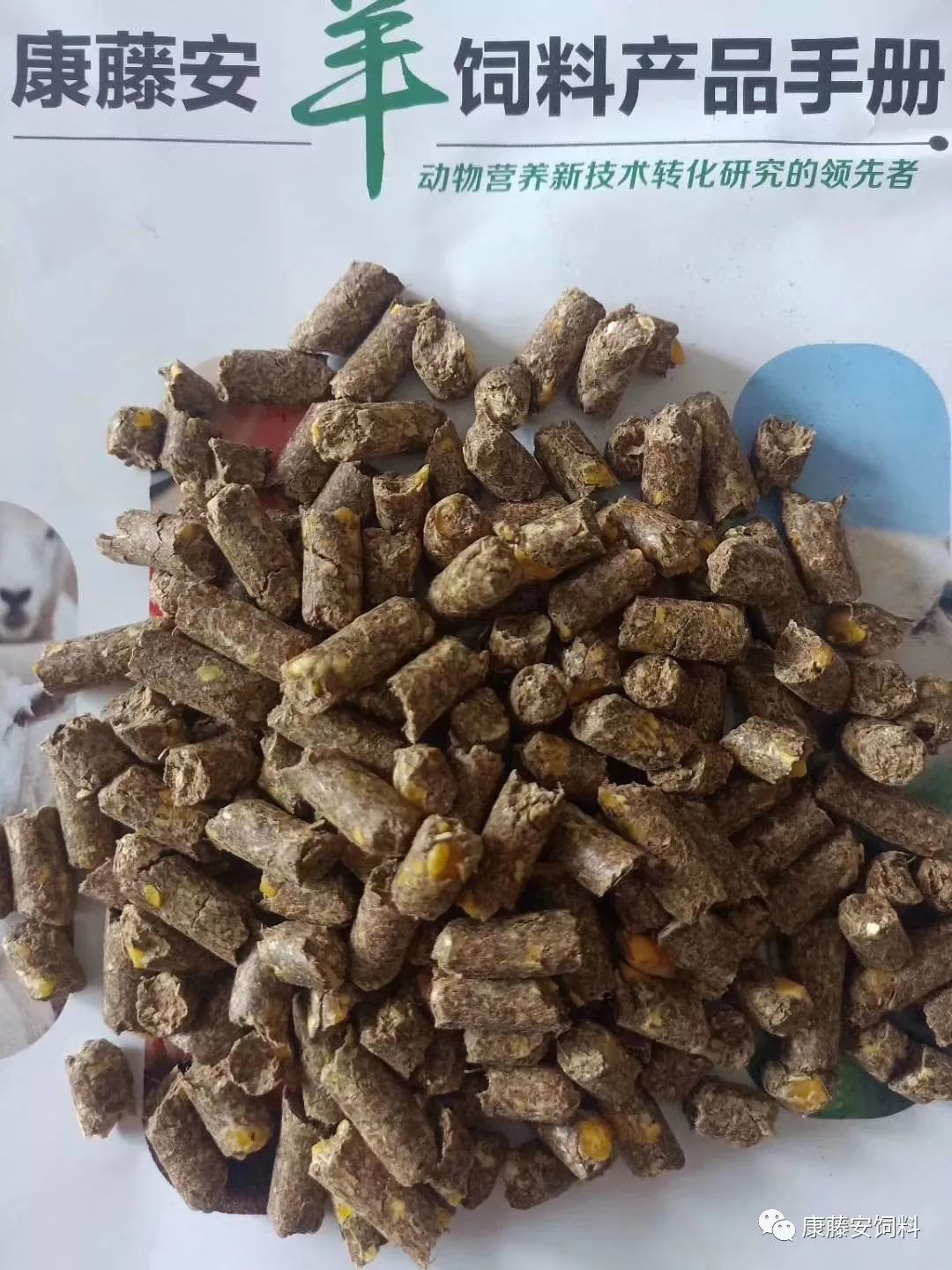 万能的羊蛋
