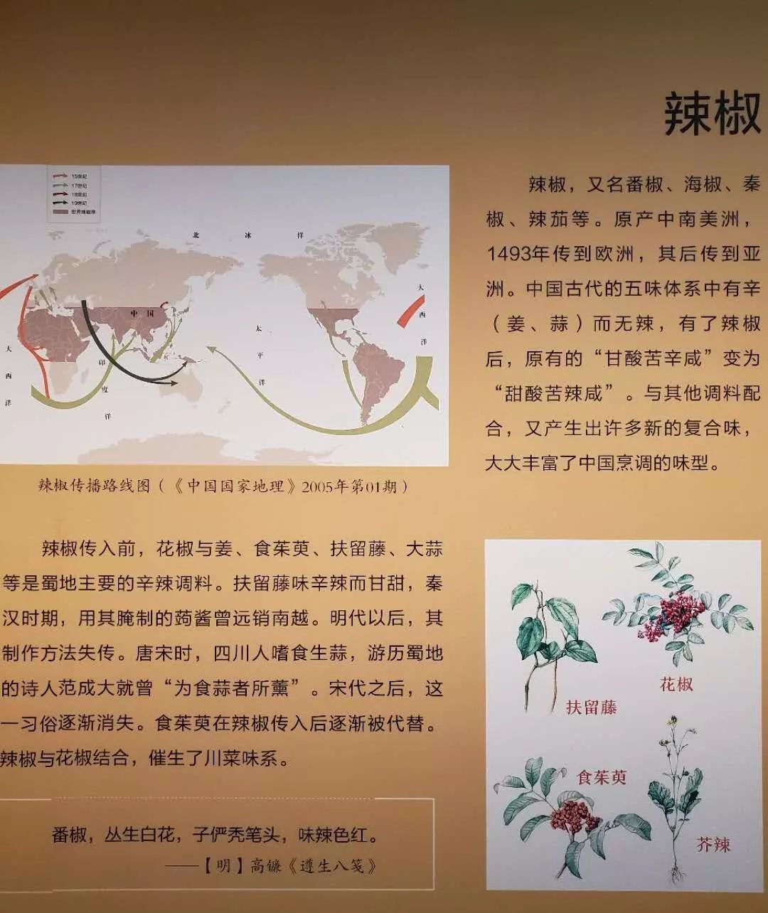 其实,在辣椒传入中国之前,川菜是偏甜的.