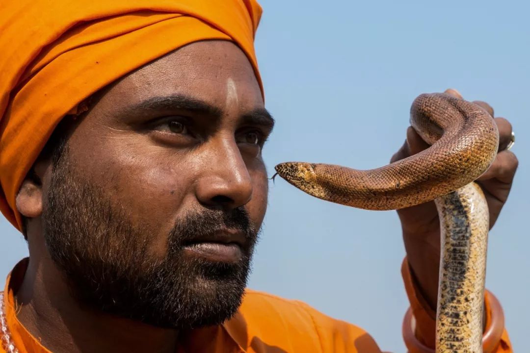 《耍蛇人》刘鲁闽(0330)