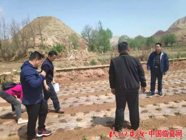 大山的儿子追记永靖县关山乡党委副书记乡长董吉恩同志