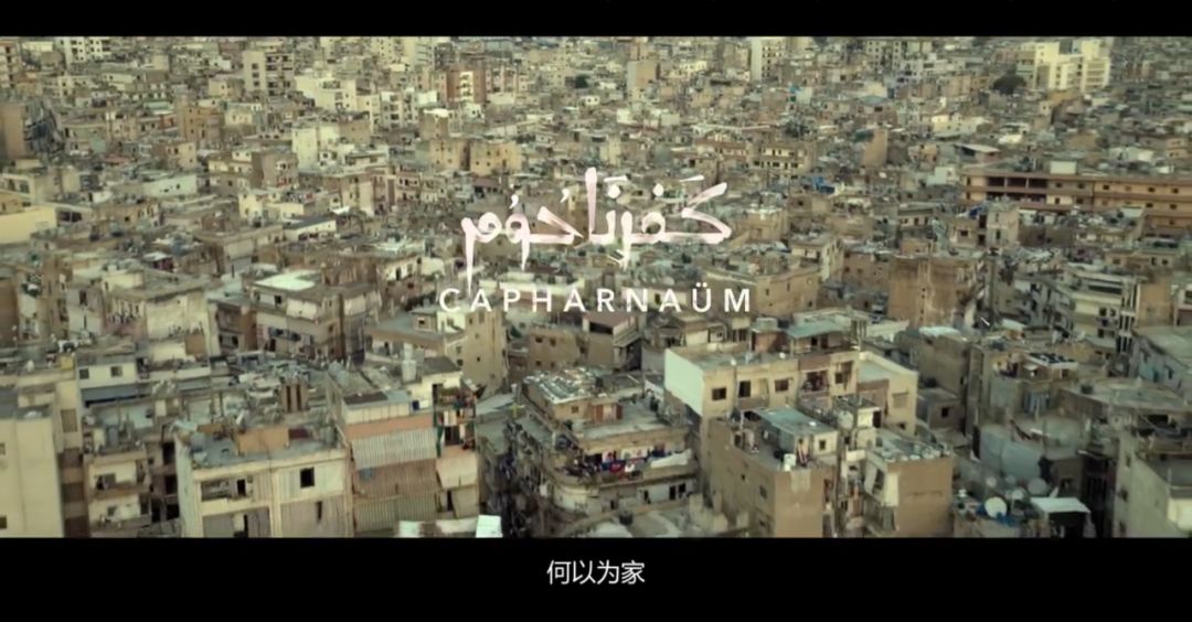 《何以为家》没有告诉我们的