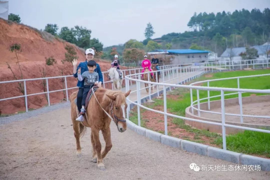 兰溪超美花海将于5月20日在新天地农场惊艳亮相