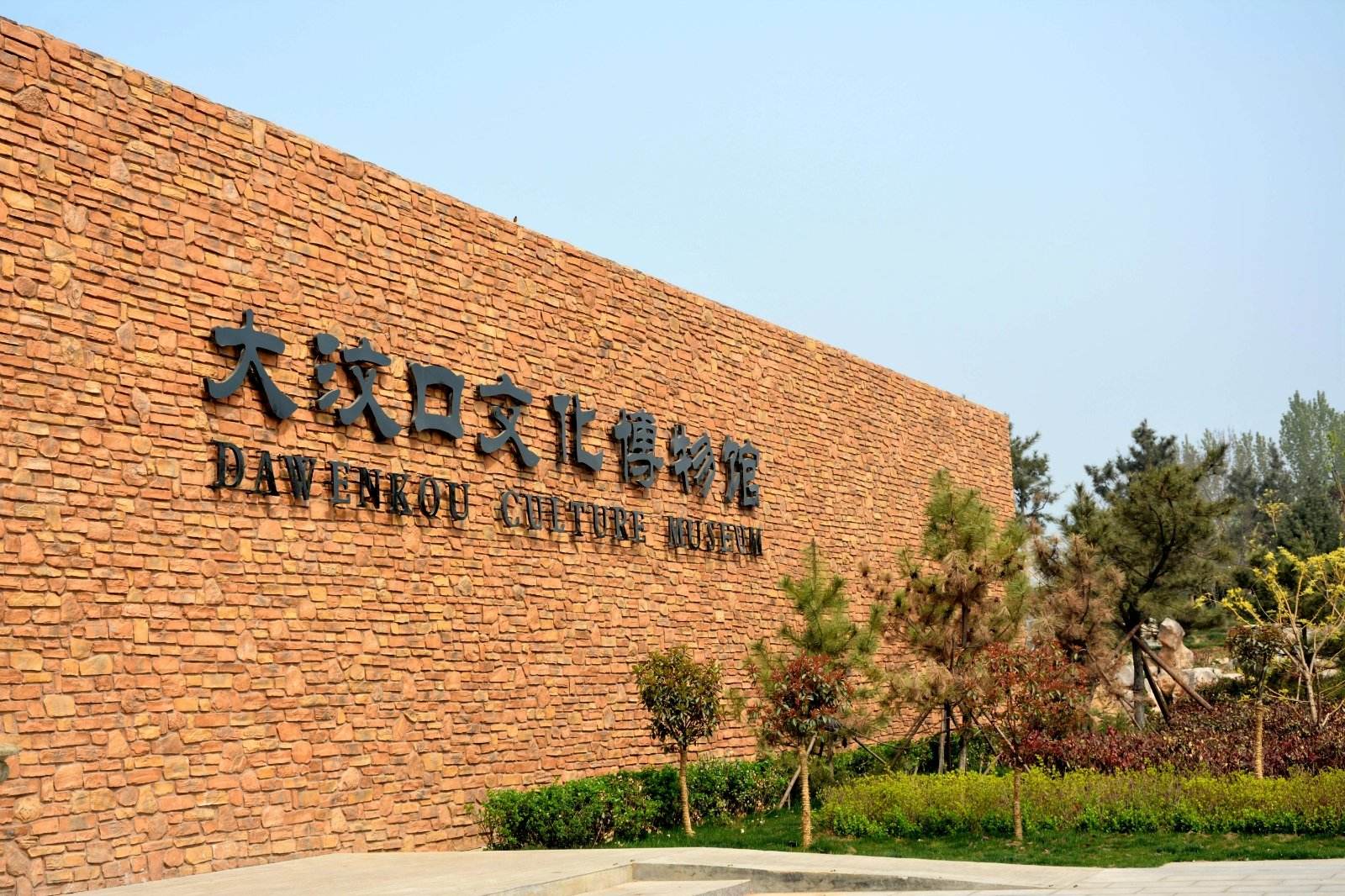 原创大汶口遗址中专家发现古人手握神秘獐牙下葬经研究是这个原因