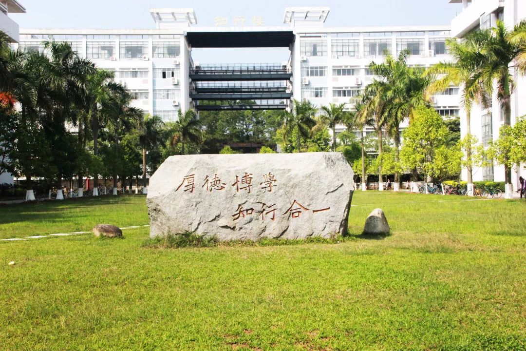 块带着热情燃烧的校训石小可爱们能在众多石头中一眼认出它吗7第七期